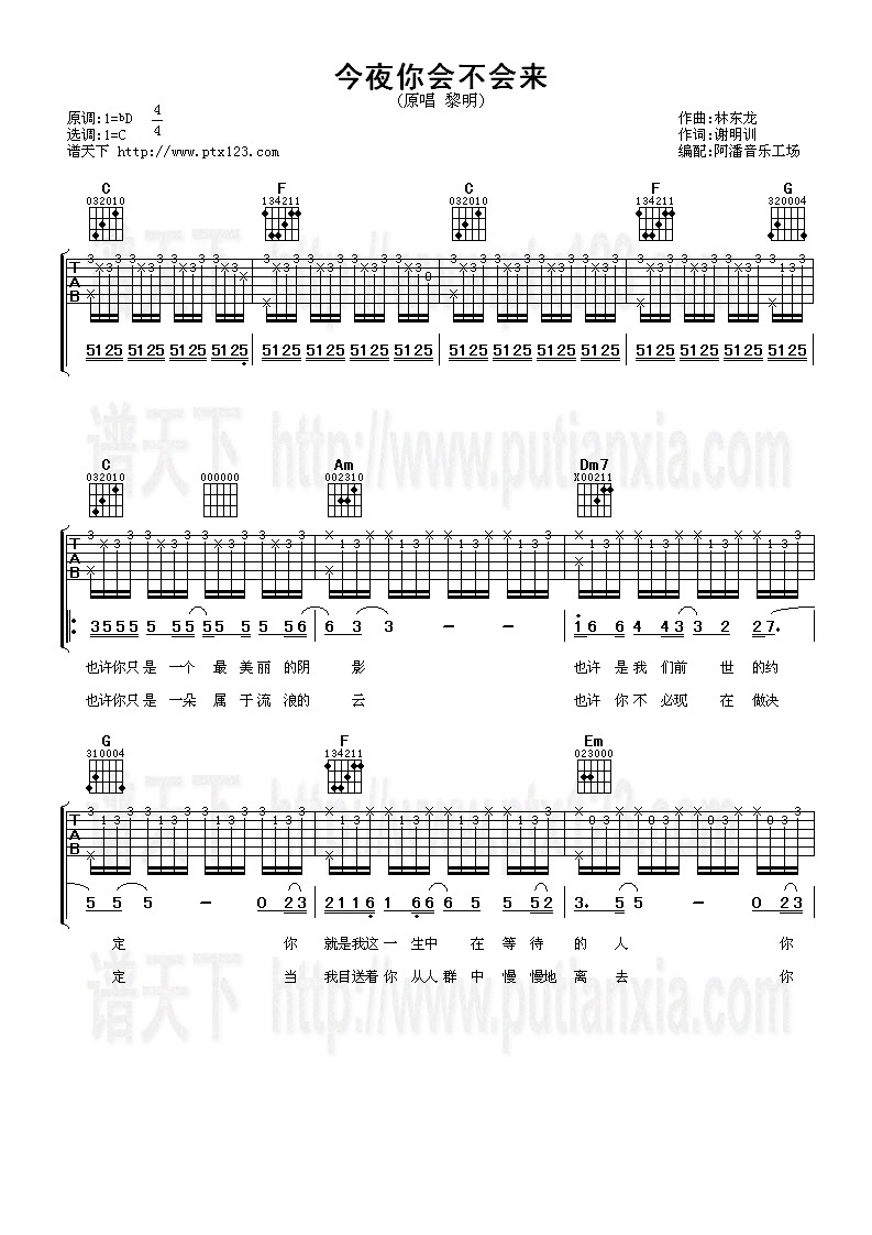 今夜你会不会来 吉他谱